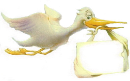 Пеликан с памперсами для взрослых